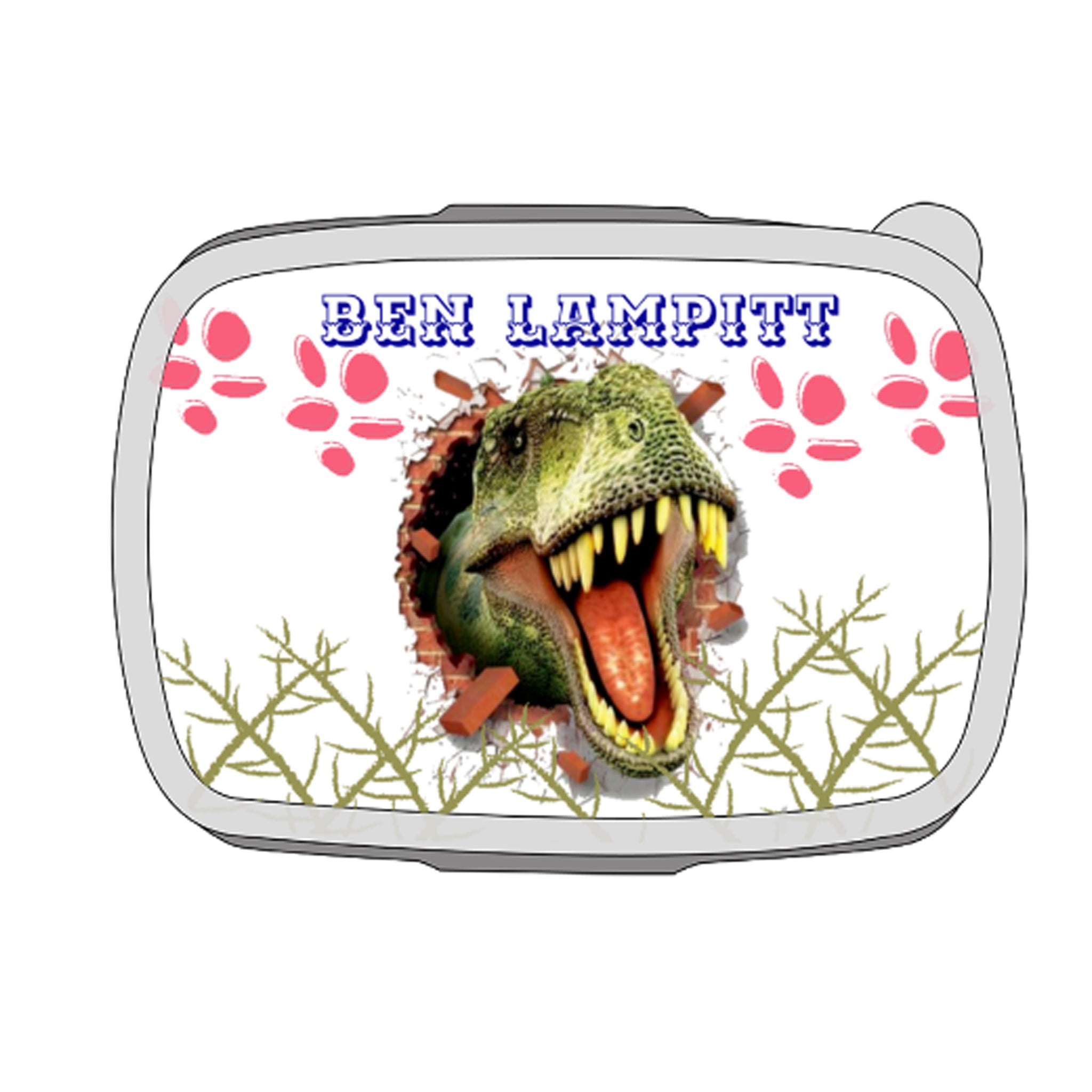 dinosaur lunchbox