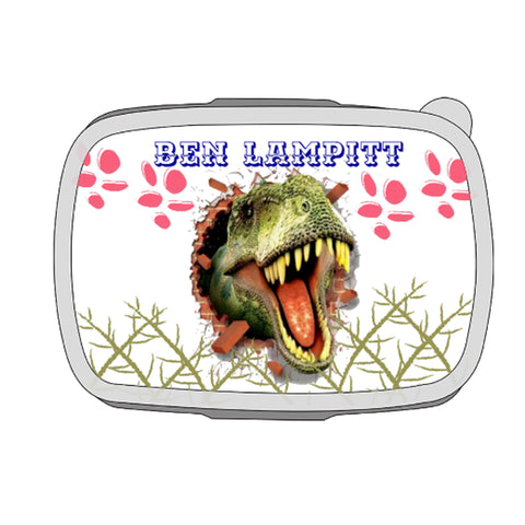 dinosaur lunchbox